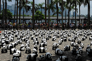 1600只纸制熊猫在香港展出